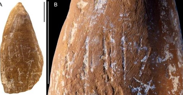 نئاندرتال‌ها مدادشمعی داشتند؟ – ایسنا